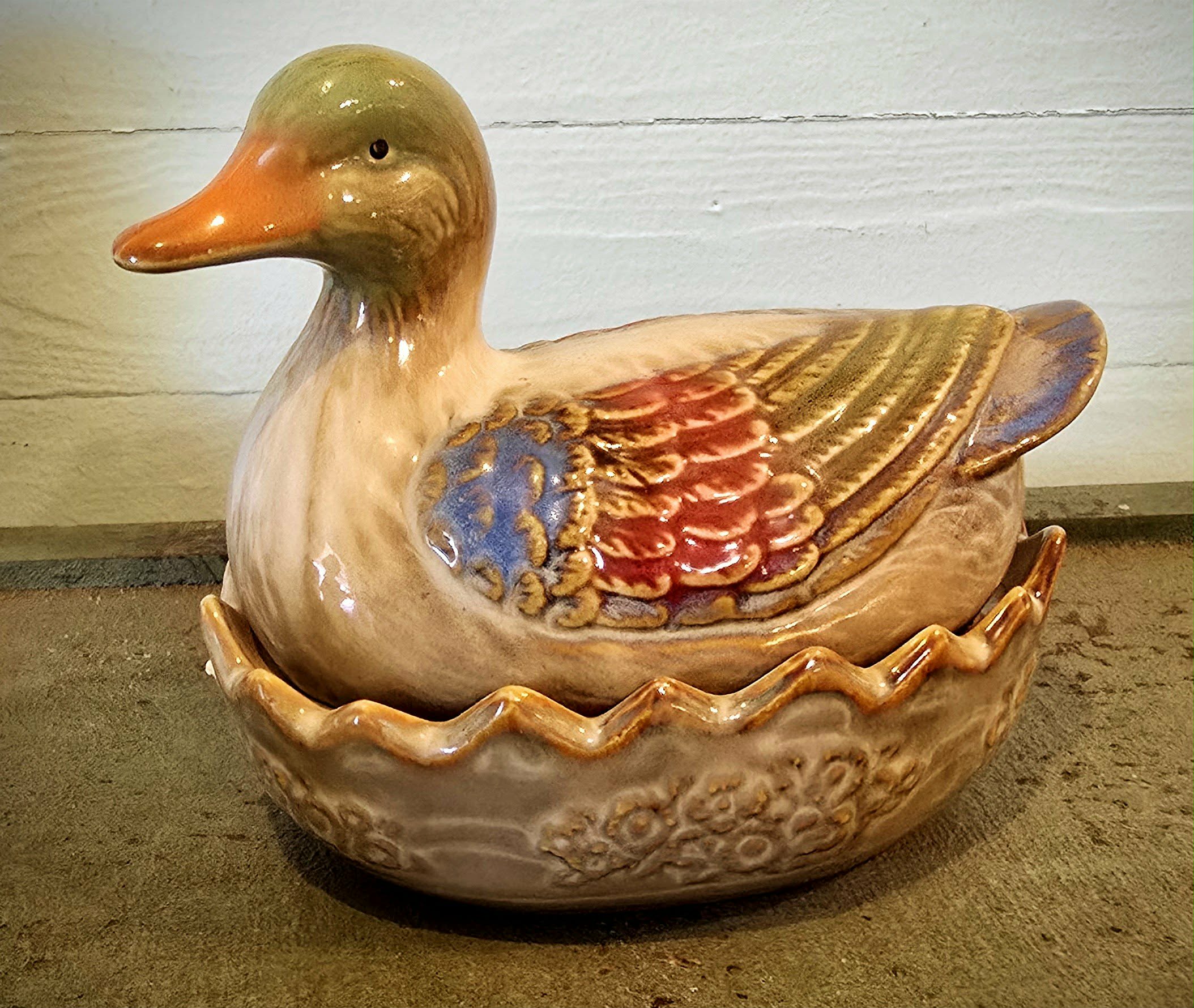 Duck on a Nest